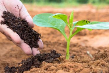 Have you thought about what are the benefits of sodium bicarbonate in compost?